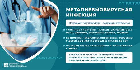 Метапневмовирус